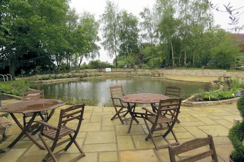Terrace Area and New Pond