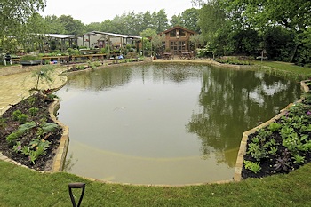Freshly Filled Pond