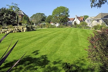 New Lawn at Studland